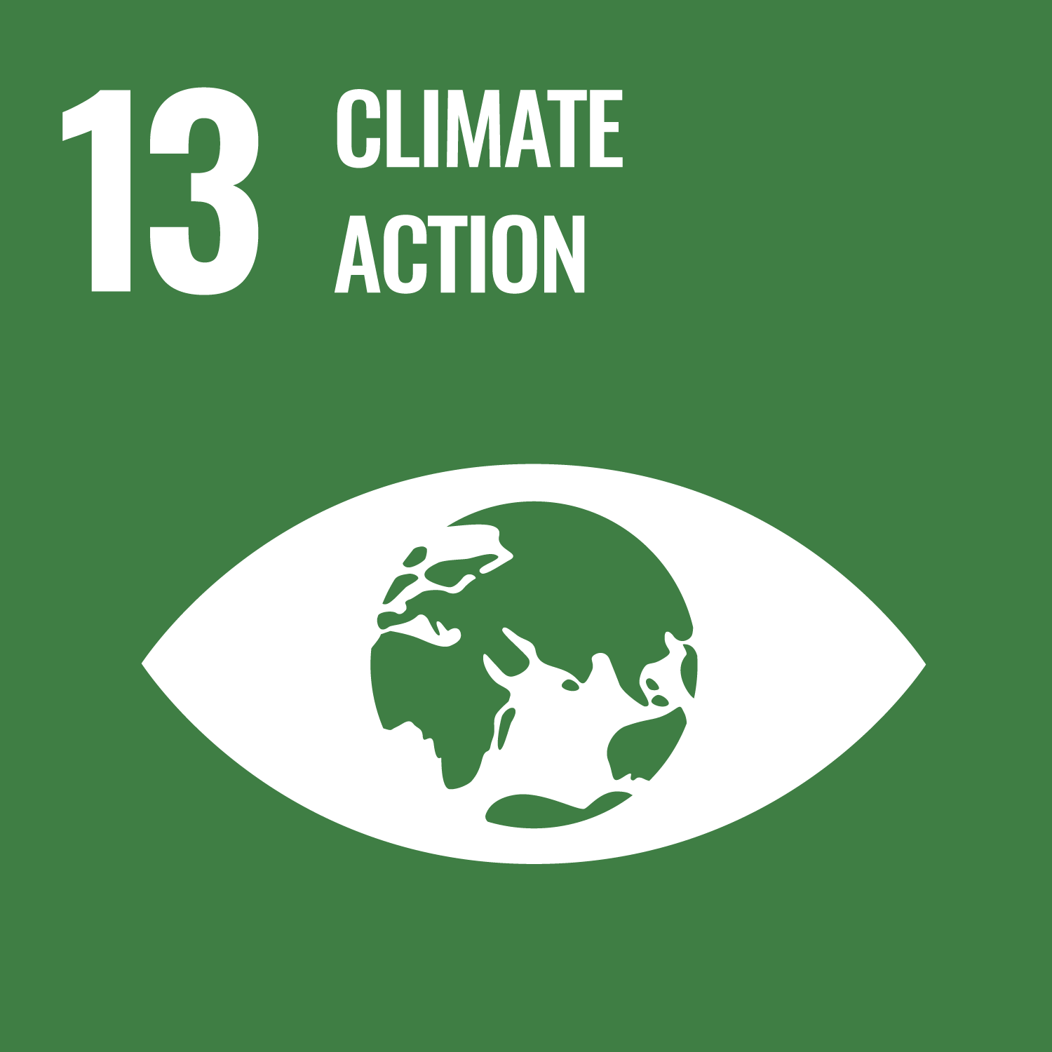 13｜CLIMATE ACTION