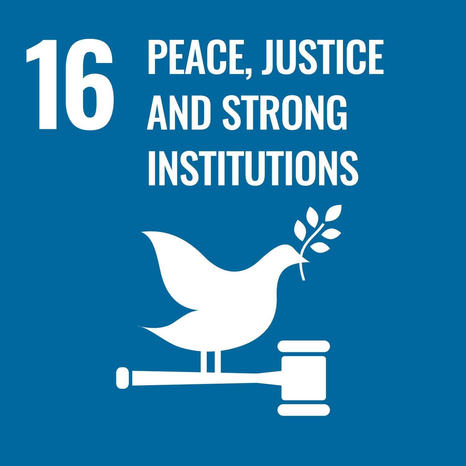 16｜PEACE,JUSTICE AND STRONG INSTITUTIONS