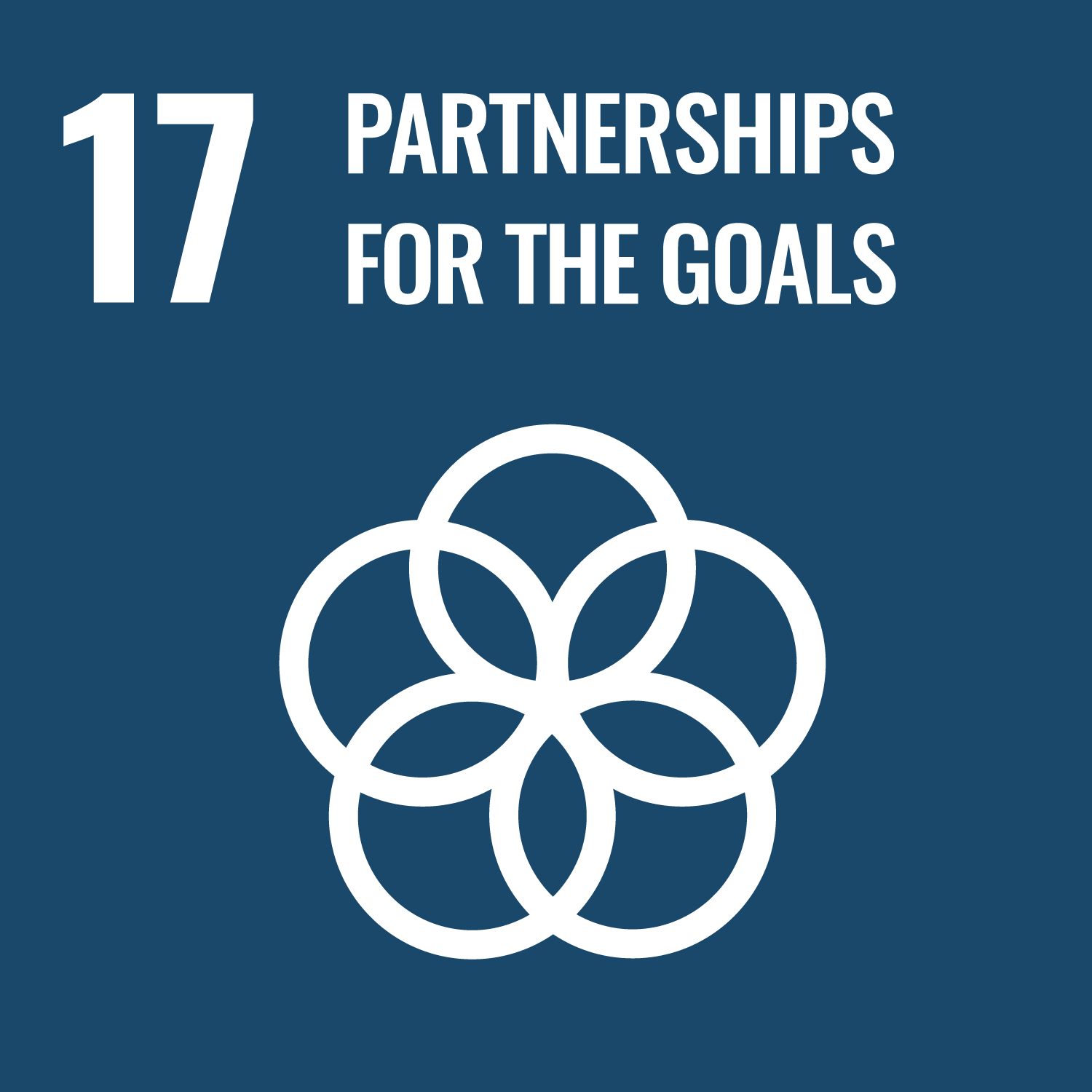 17｜PARTNERSHIPS FOR THE GOALS