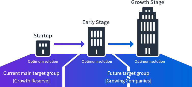 Provision of the optimum solution